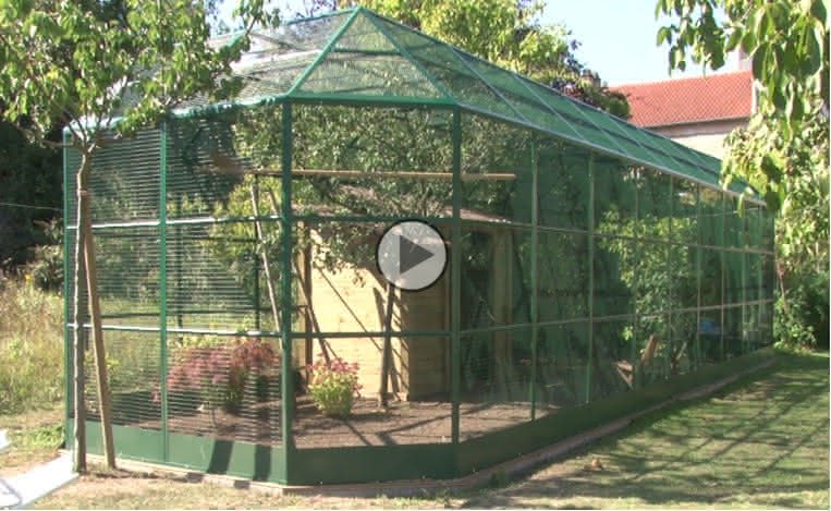Cage A Oiseaux Decoration Pour Exterieur Cage A Oiseaux Decoration Pour Exterieur