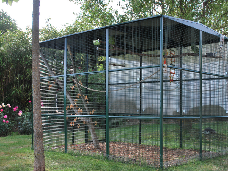 Volière extérieure 4 box pour l'élevage des perruches, canaris et oiseaux  exotiq