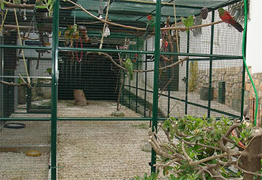 Protection des oiseaux volière de jardin en hiver 